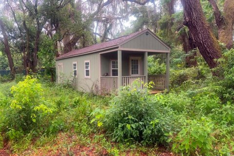 Land in Summerfield, Florida № 2238754 - photo 6