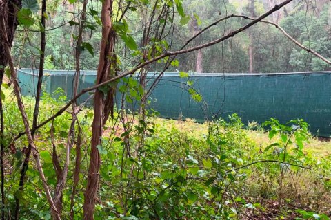 Land in Summerfield, Florida № 2238754 - photo 5
