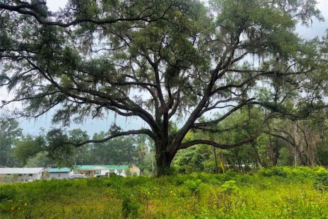 Land in Summerfield, Florida № 2238754