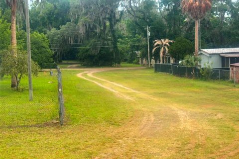 Land in Summerfield, Florida № 2238754 - photo 3