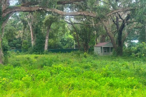 Land in Summerfield, Florida № 2238754 - photo 4