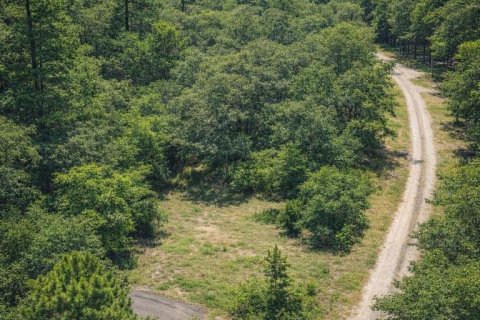 Land in Dade City, Florida № 2161775 - photo 11