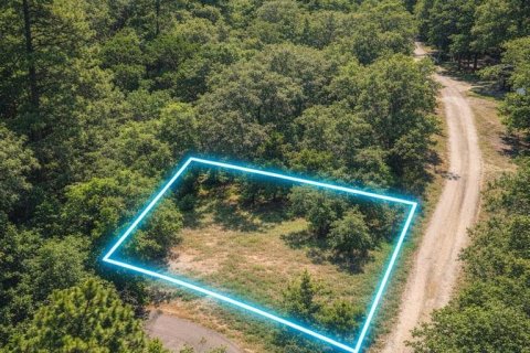 Land in Dade City, Florida № 2161775 - photo 12