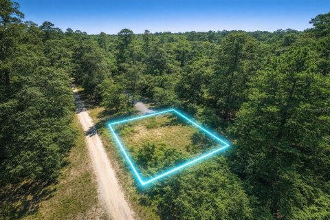 Land in Dade City, Florida № 2161775 - photo 16