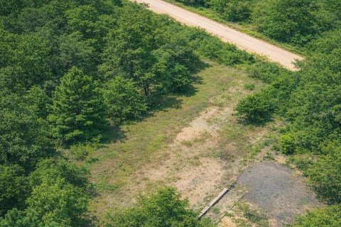 Land in Dade City, Florida № 2161775 - photo 19