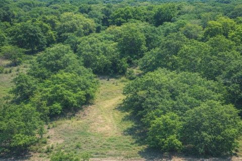 Land in Dade City, Florida № 2161775 - photo 13
