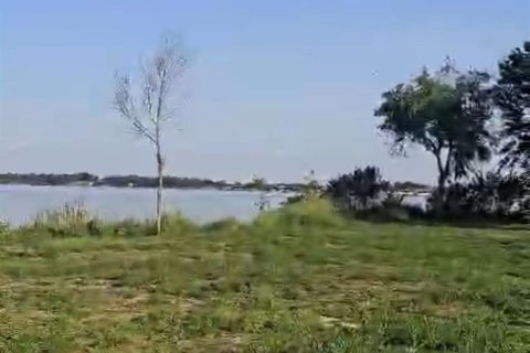 Commercial property in Lake Alfred, Florida № 1827697 - photo 11
