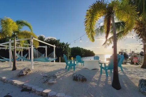 Apartamento en alquiler en Key Largo, Florida, 2 dormitorios № 1968136 - foto 3