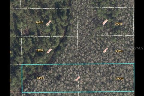 Land in Orlando, Florida № 1801765 - photo 1