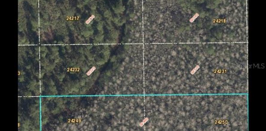 Land in Orlando, Florida № 1801765