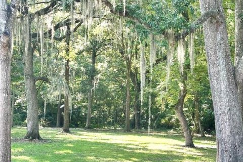 Condominio en venta en Gainesville, Florida, 1 dormitorio, 70.61 m2 № 1815776 - foto 4