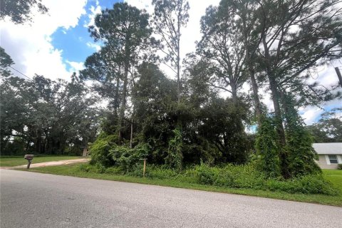 Terrain à Sebring, Floride № 2388701