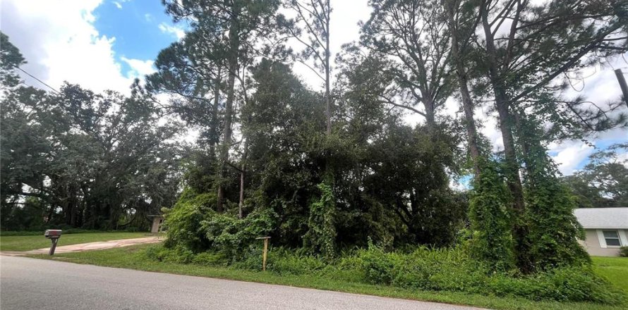 Terrain à Sebring, Floride № 2388701
