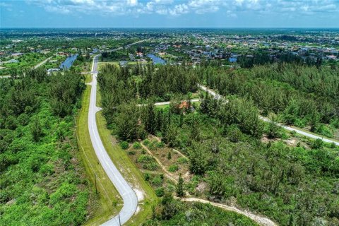 Terreno en venta en Port Charlotte, Florida № 1723658 - foto 18
