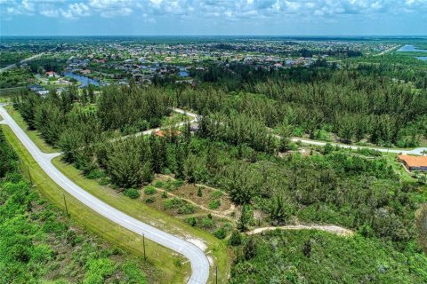 Terreno en venta en Port Charlotte, Florida № 1723658 - foto 20
