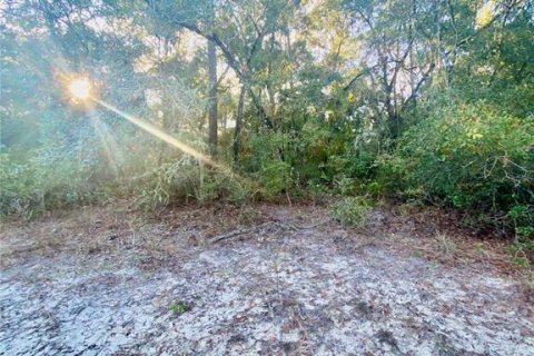Land in Inverness, Florida № 2217729 - photo 5