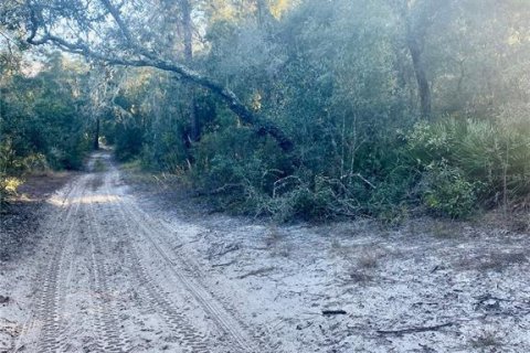 Land in Inverness, Florida № 2217729 - photo 4