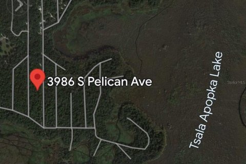 Land in Inverness, Florida № 2217729 - photo 9