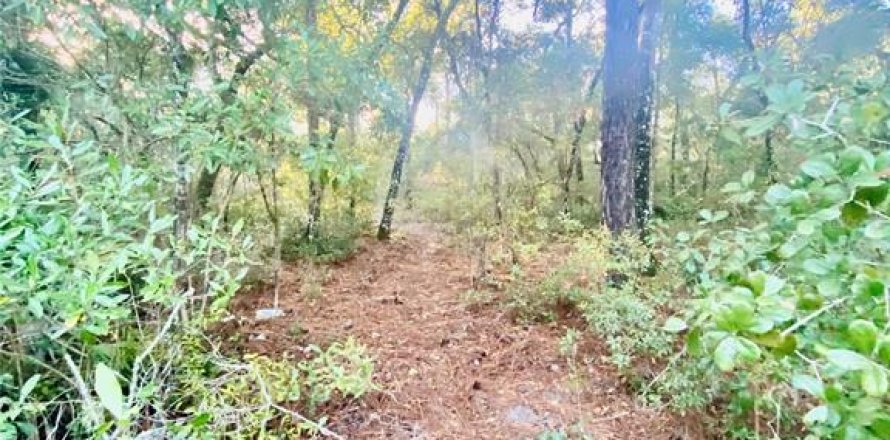Land in Inverness, Florida № 2217729