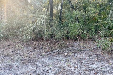 Land in Inverness, Florida № 2217729 - photo 7