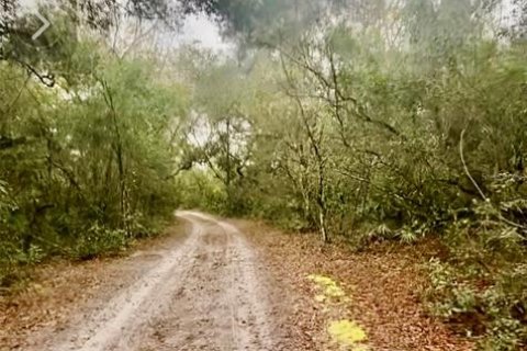 Land in Inverness, Florida № 2217729 - photo 3