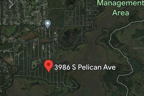 Land in Inverness, Florida № 2217729 - photo 10