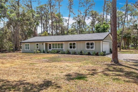 Villa ou maison à vendre à Lady Lake, Floride: 3 chambres, 149.39 m2 № 2197112 - photo 2