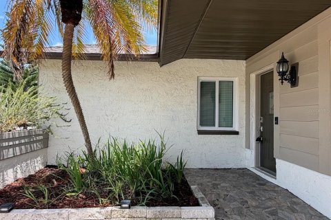 House in Dunedin, Florida 3 bedrooms, 176.51 sq.m. № 2290598 - photo 3