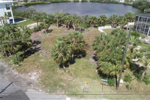 Terrain à vendre à Port Richey, Floride № 1720738 - photo 35