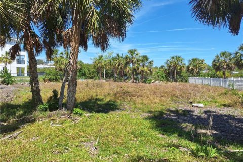 Terrain à vendre à Port Richey, Floride № 1720738 - photo 10