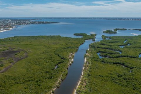 Terrain à vendre à Port Charlotte, Floride № 2229951 - photo 6
