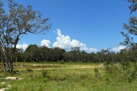 Terreno en venta en Umatilla, Florida № 1909083 - foto 1