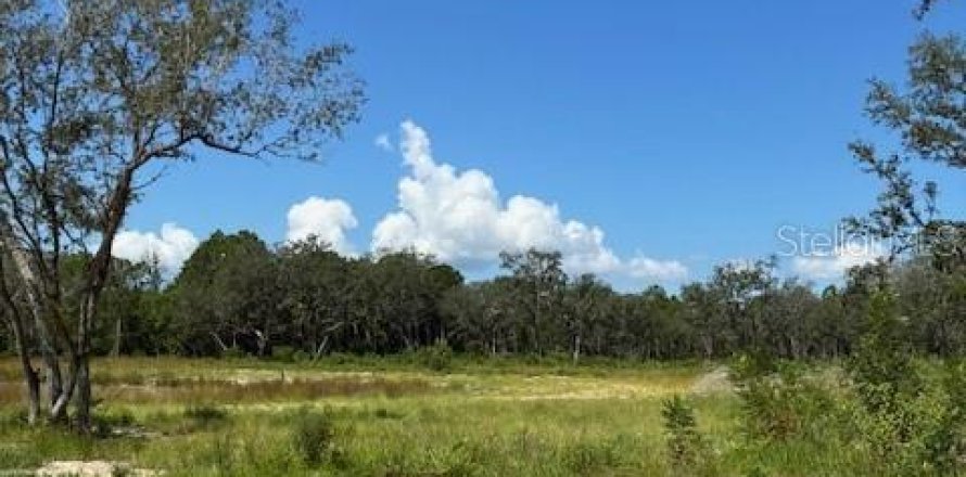Terreno en Umatilla, Florida № 1909083