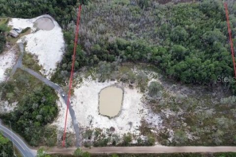 Terreno en venta en Umatilla, Florida № 1909083 - foto 5