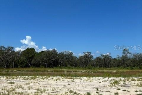 Terreno en venta en Umatilla, Florida № 1909083 - foto 3