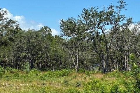 Terreno en venta en Umatilla, Florida № 1909083 - foto 4