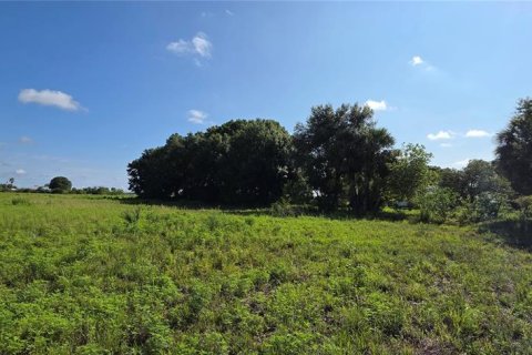 Land in Okeechobee, Florida № 1765218 - photo 6