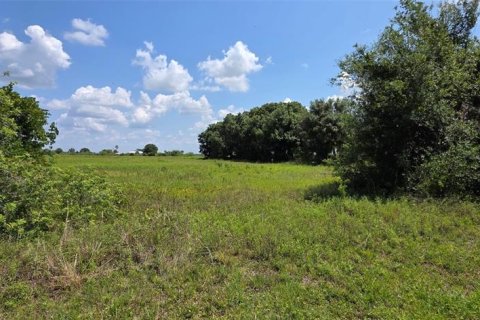 Land in Okeechobee, Florida № 1765218 - photo 1