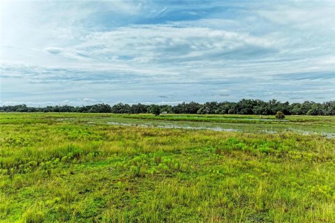 Terrain à vendre à Myakka City, Floride № 2398644 - photo 3