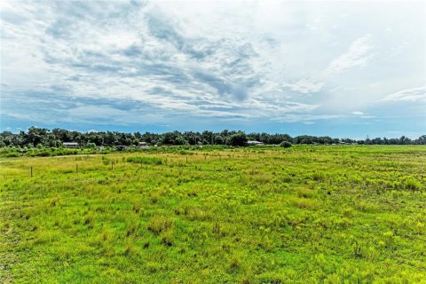 Terrain à vendre à Myakka City, Floride № 2398644 - photo 5