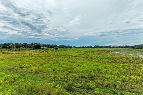 Terrain à vendre à Myakka City, Floride № 2398644 - photo 6