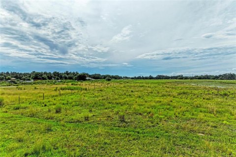 Terrain à vendre à Myakka City, Floride № 2398644 - photo 4