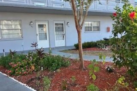 Condo in Saint Petersburg, Florida, 1 bedroom  № 1654109 - photo 3