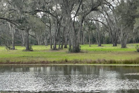 Land in Reddick, Florida № 1540828 - photo 2