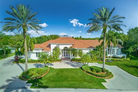 Villa ou maison à vendre à Weston, Floride: 4 chambres, 436.64 m2 № 1966489 - photo 1