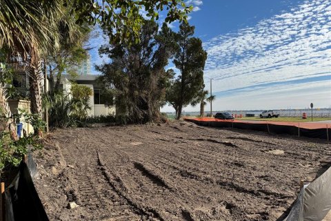 Land in Tampa, Florida № 2206101