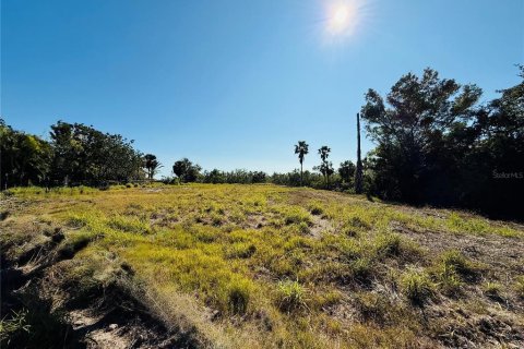 Land in Bradenton, Florida № 1535119 - photo 3