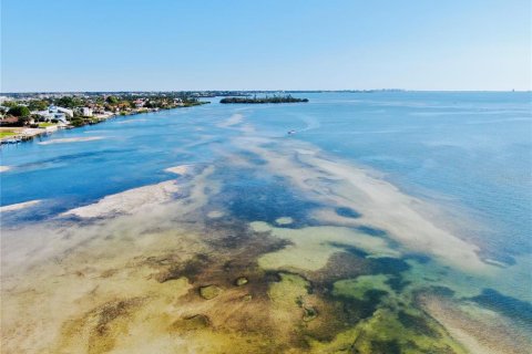 Land in Bradenton, Florida № 1535119 - photo 11