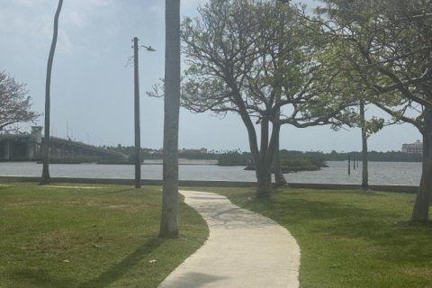 Apartamento en alquiler en Lake Worth, Florida, 1 dormitorio, 34.84 m2 № 1176958 - foto 1