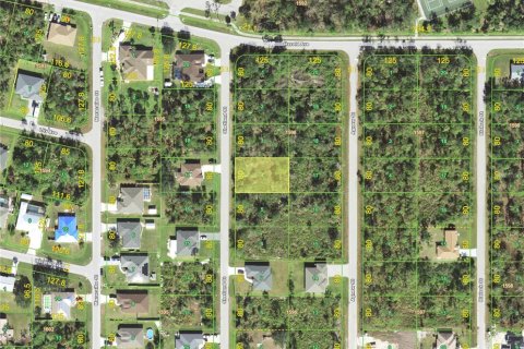 Land in Punta Gorda, Florida № 2159223 - photo 2